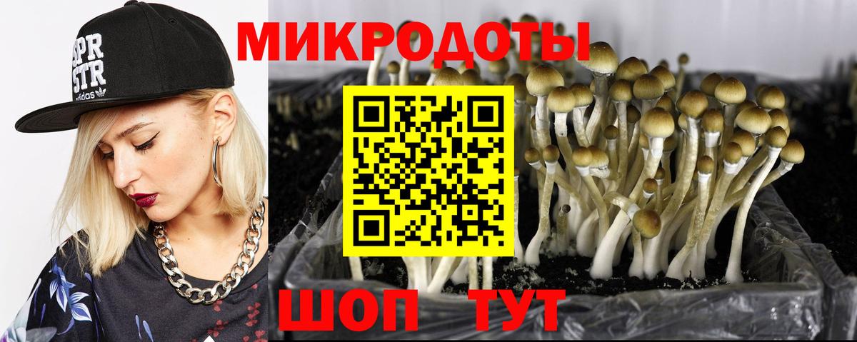 Псилоцибиновые грибы мицелий  Псилоцибиновые грибы Psilocybine cubensis  Минеральные Воды  Вход с VPN 