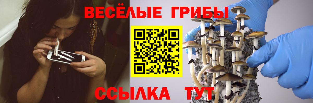 Галлюциногенные грибы MAGIC MUSHROOMS Минеральные Воды